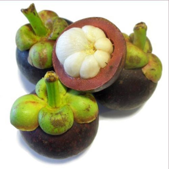 Mangostino