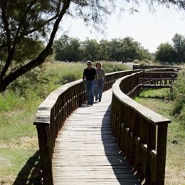 Las Tablas de Daimiel