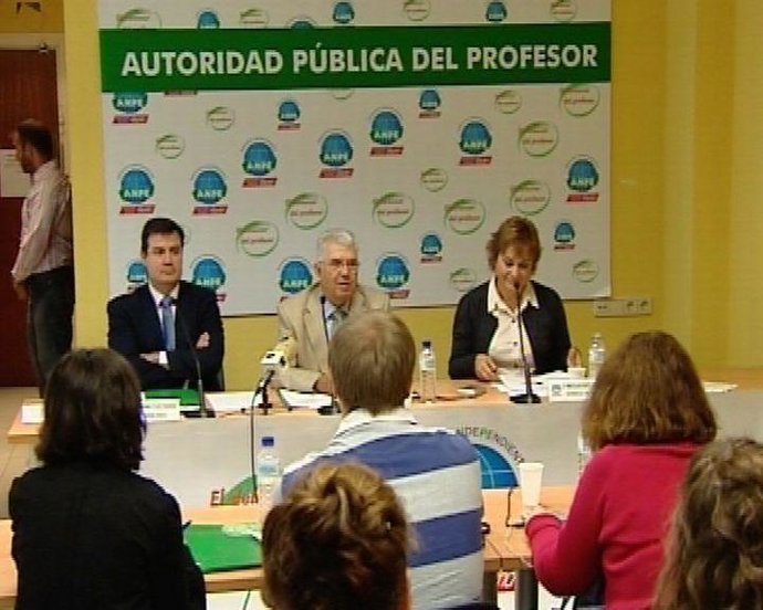 ANPE LEY DE AUTORIDAD DEL PROFESOR