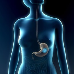 Corporación Dermoestética.