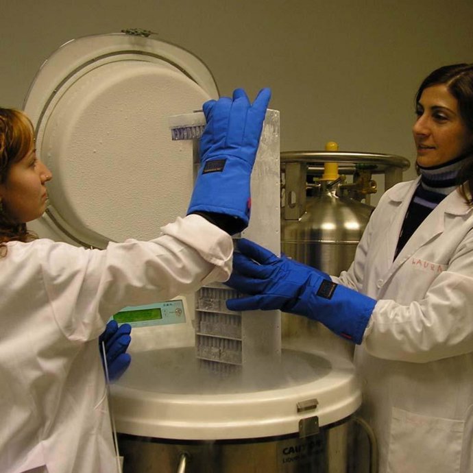 Más de 200 enfermos de cáncer congelan tejido reproductivo para ser padres