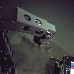 Robot submarino