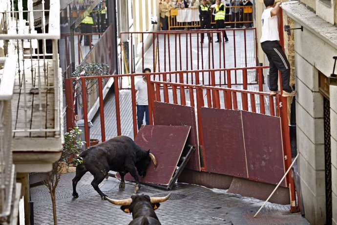 Un toro embiste contra una valla de seguridad durante el ensayo general el pasad