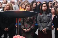 Aído pide a la sociedad luchar los 365 días del año contra la violencia machista