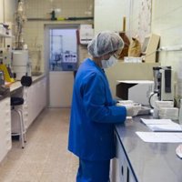 Detectada la primera mutación del virus de la gripe A en Italia