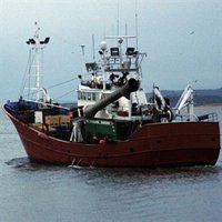 España pide una cuota "precautoria" para la anchoa del golfo de Vizcaya