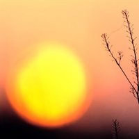 La inquietud mundial por el cambio climático "se enfría" y baja cuatro puntos respecto a 2007