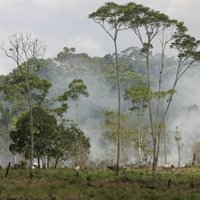 Ban Ki-Moon: "Tenemos la oportunidad real de cambiar el rumbo de nuestra historia" 