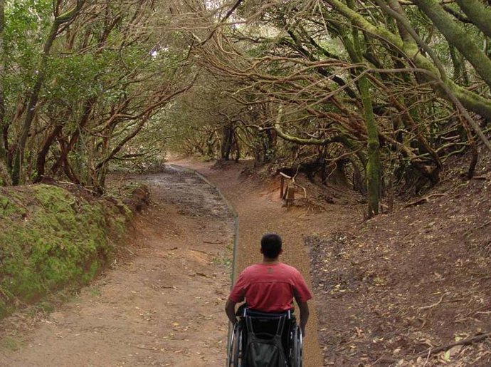 Sendero de los sentidos.