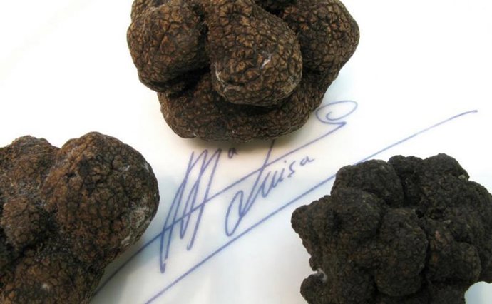 La Cocina de María Luisa