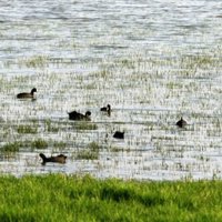 PP-A destaca que Doñana necesita "una persona que se implique" y no ofrecerle a Felipe González un retiro