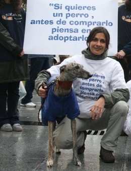 "Si quieres un perro, antes de comprarlo piensa en adoptarlo"