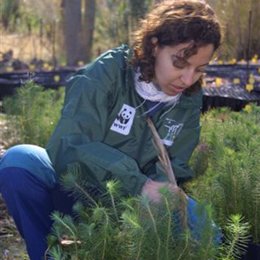 Voluntaria de WWF plantando árboles