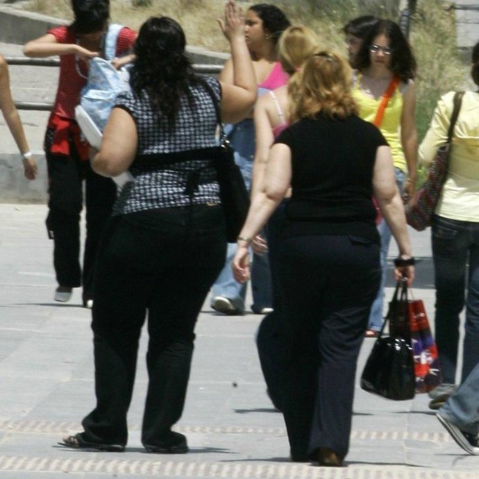 Descubren un gen cuya regulación puede acabar con la obesidad