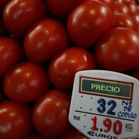 La inflación cierra el 2009 en su mínimo histórico, con una tasa del 0,8%