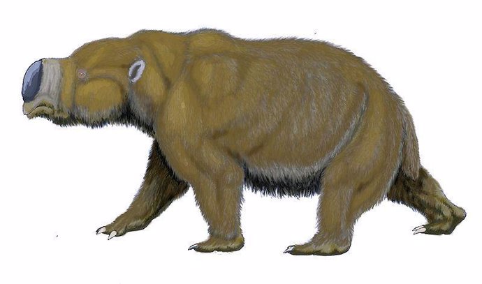 Marsupial gigante australiano