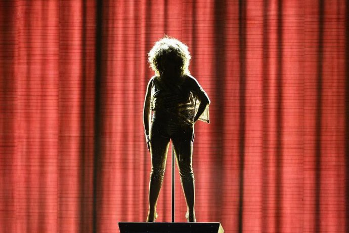 Silueta de Tina Turner en un concierto