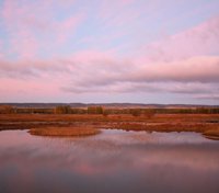 Humedales contra el cambio climático