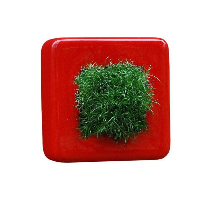 Decora tu hogar de una manera original y distinguida.