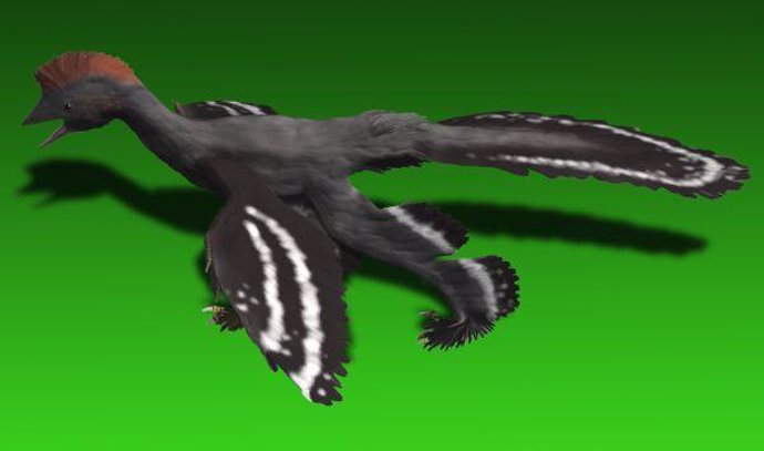 Dinosaurio con plumas