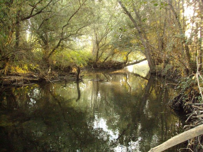 Zona De La Inversión