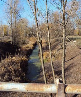 cauce del río Almar