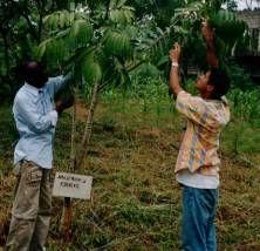 Fundacion Air Liquide