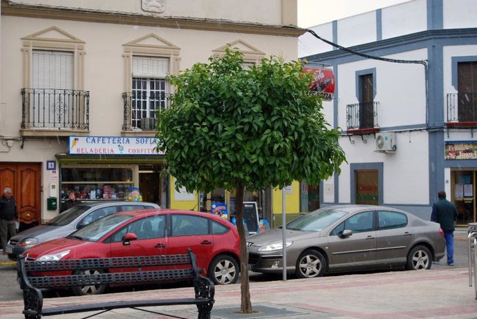 En Tocina cayeron algunos copos sin llegar a cuajar.