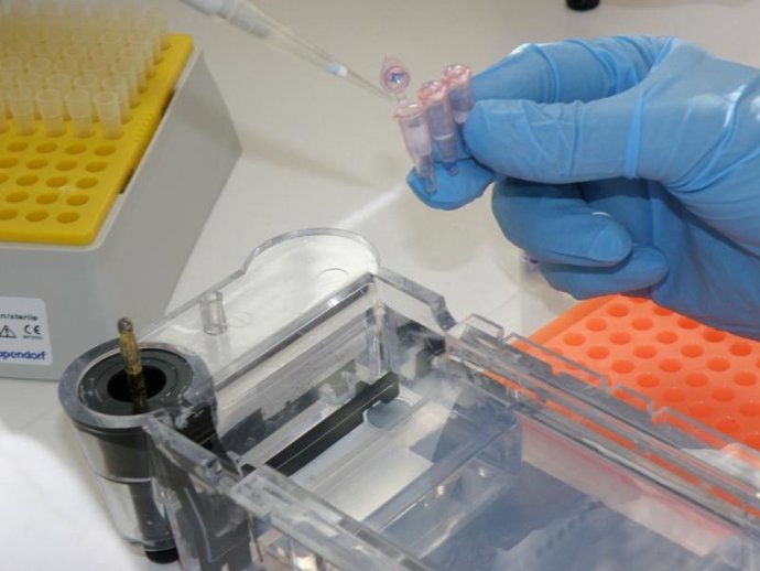 Laboratorio de genética