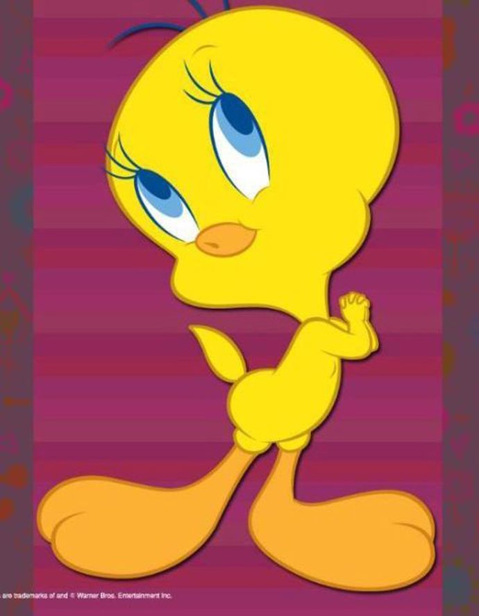 Piolin