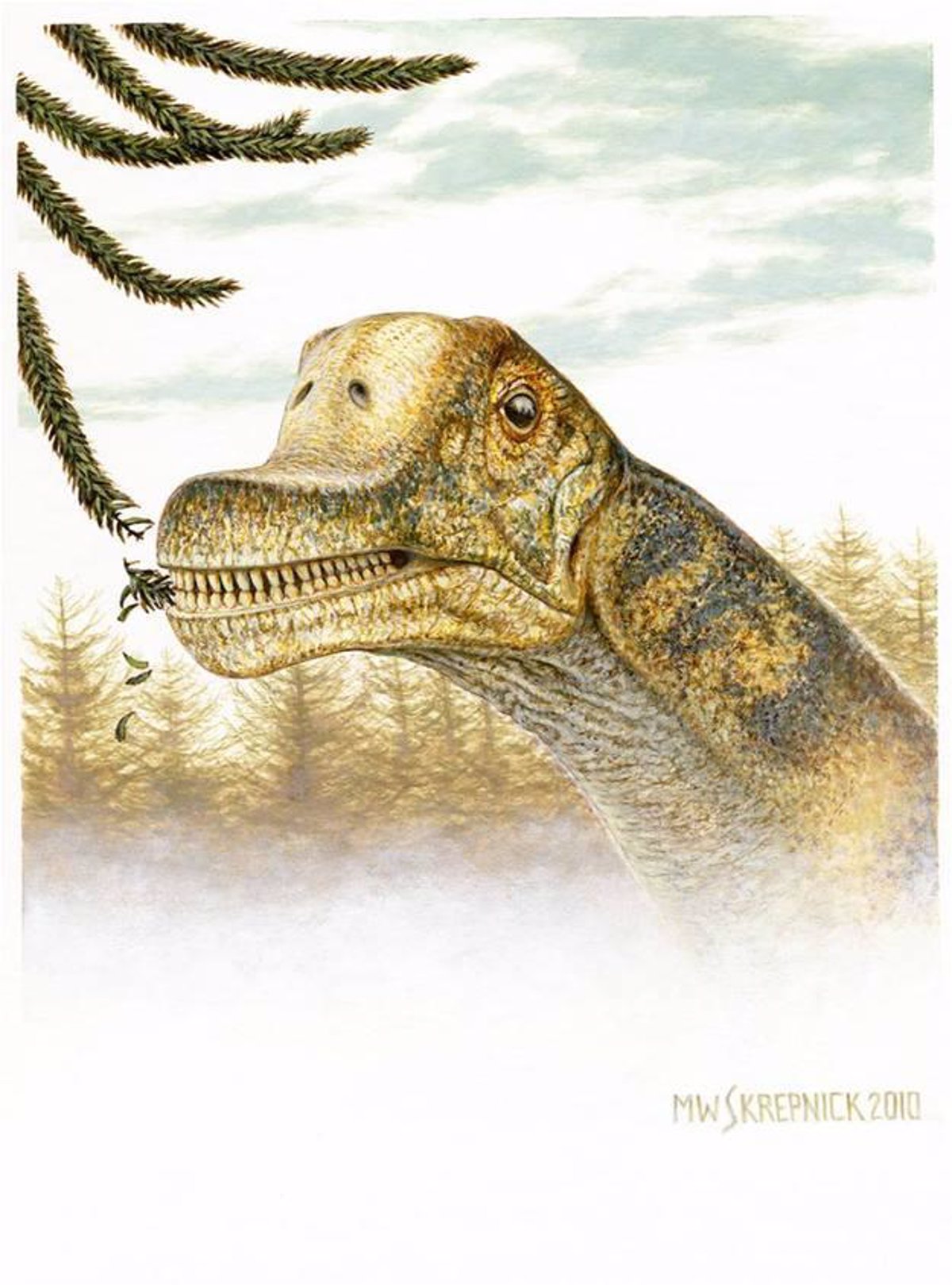 Desvelado el rostro de un dinosaurio herbívoro de cuello largo