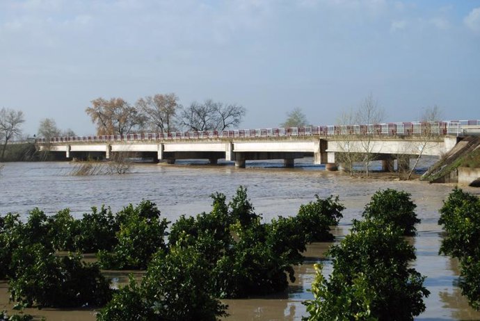 El Guadalquivir inunda cultivos de Tocina