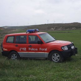 Policía Foral 