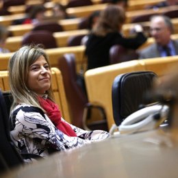 Aído, sentada en el Senado