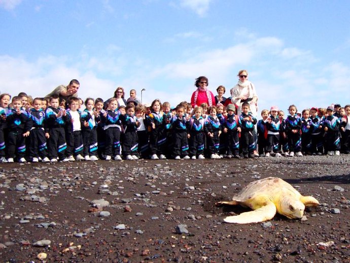 Los niños presenciaron el regreso a su hábitat de una tortuga boba