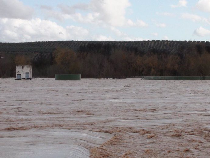 Inundaciones en fincas de Jaén