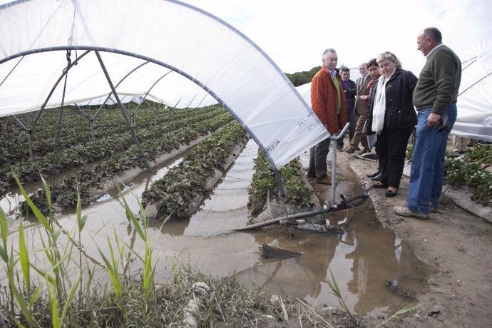 Clara Aguilera visita una finca afectada por el temporal en Palos de la 