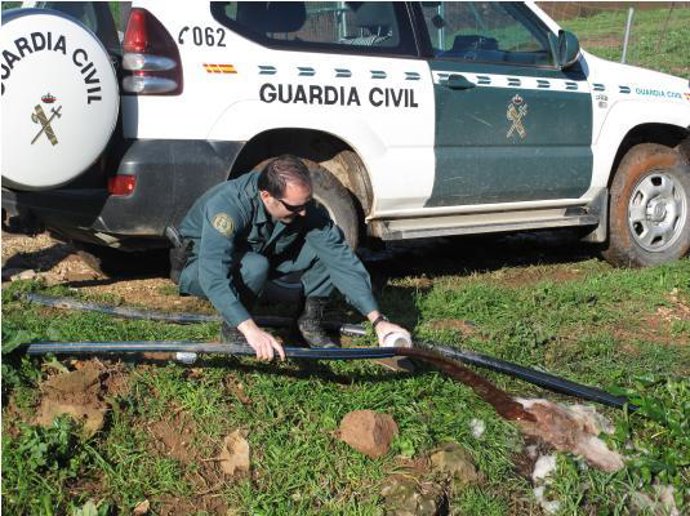 Agentes de la Guardia Civil en la zona del vertido