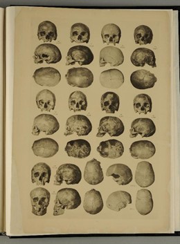 Láminas de la obra de los hermanos Siret restaurada en el IAPH