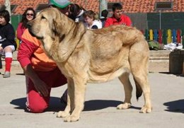 Imágen Del Certamen Celebrado En 2009