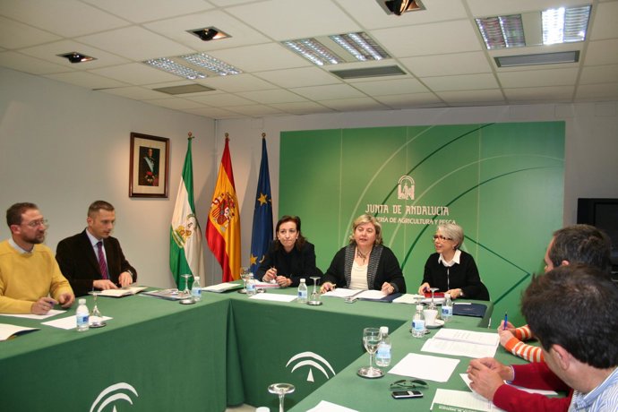 Momento De La Reunión