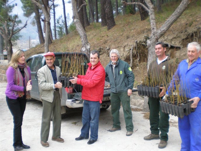Entrega De Árboles En El Tiétar (Ávila).