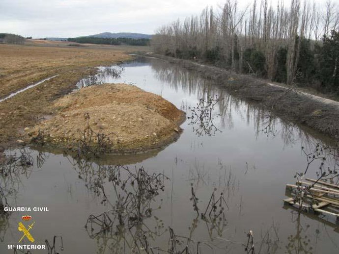 Vertidos En Los Rábanos.