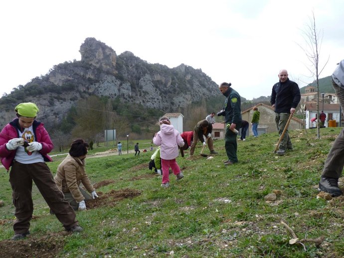 Los Participantes En El Programa De Voluntariado En Familia Durante La Recuperac