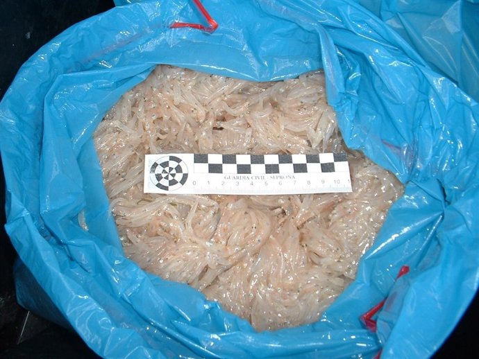 Chanquete Decomisado Seprona