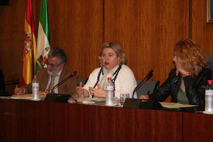 Clara Aguilera Durante La Comisión Parlamentaria