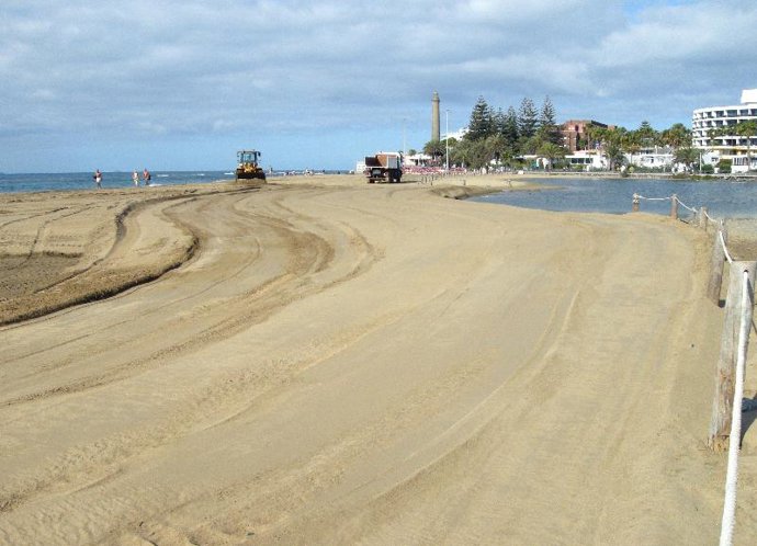 Estado actual de la Charca de Maspalomas
