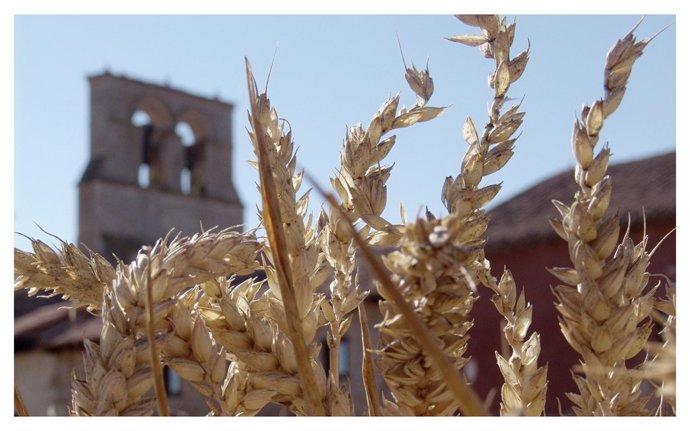 Imagen Ganadora El Pasaso Año