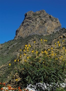 La Gomera.