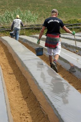 Plantación De Fresas En Huelva